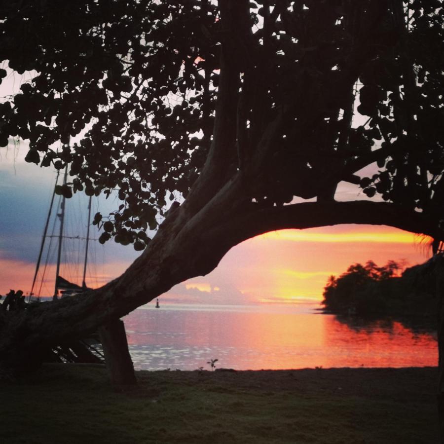 Cafe Del Mar Sapzurro Bed & Breakfast Bagian luar foto